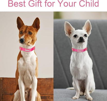 Nylon Dog Collar - Image 3