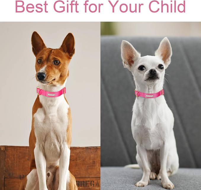 Nylon Dog Collar - Image 3
