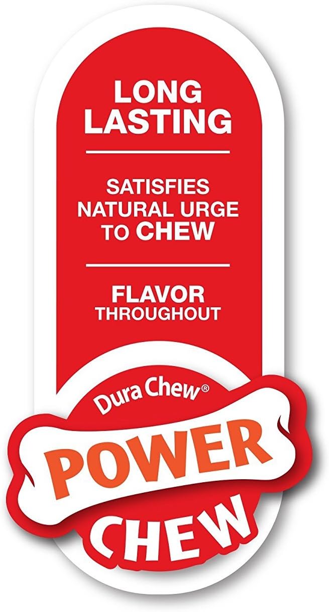 Nylabone Original Bone Power Chew Toy - Image 5