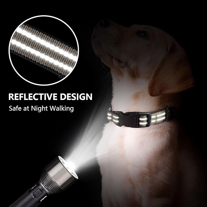 Martingale Dog Collar, Adjustable Nylon Reflective Collar - Image 2