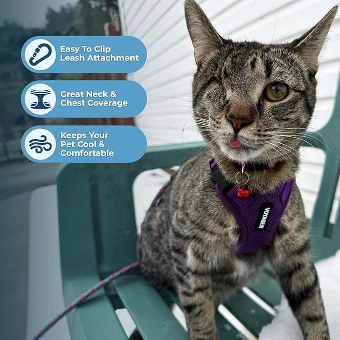 Voyager Escape-Proof Step-in Lock Cat Harness & 5ft Neoprene-Handle Leash Set - Image 5