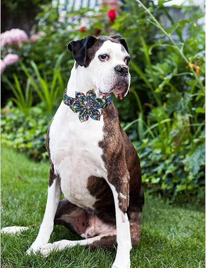Lionheart Glory Darkblue Flower Dog Collar - Image 5