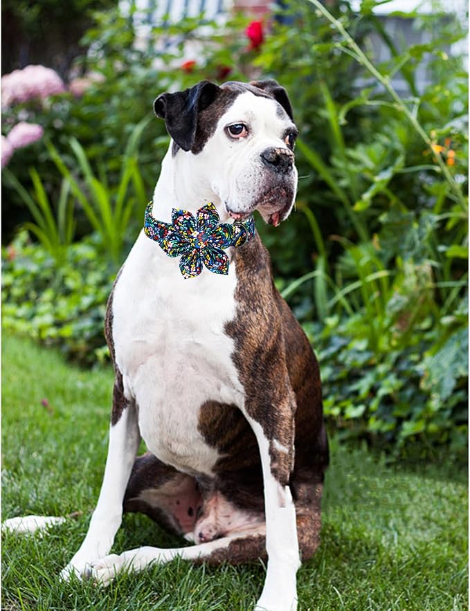Lionheart glory Dog Collar Darkblue Flower Dog Bow Collars Floral Dog Collar - Image 5