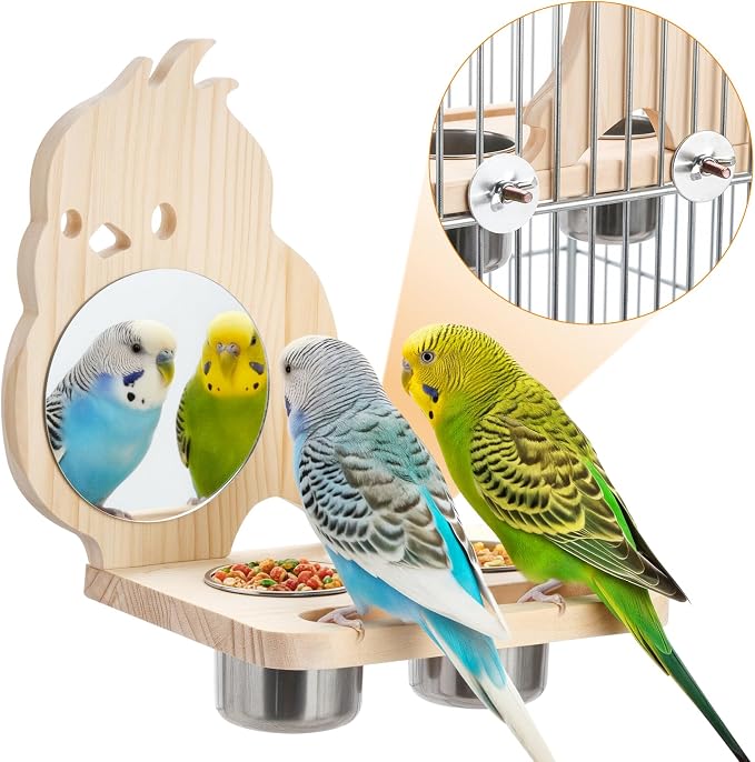 Feeder with Acrylic Mirror & Stainless Steel Bowls, Natural Wood Perch - Image 8