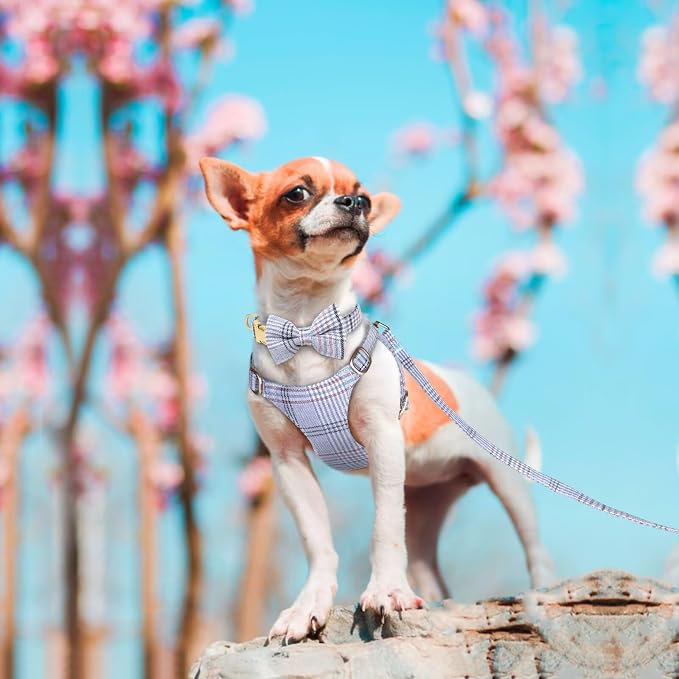 Beirui Cute Extra Small Dog Harness Collar and Leash Set - Image 4
