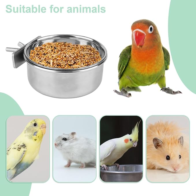 Hypeety Pet Bird Food Feeding and Drinking Hanging Cup Clamp Holder Stainless - Image 4