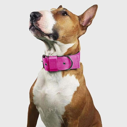 Heavy Duty Tactical Dog Collar - Image 6