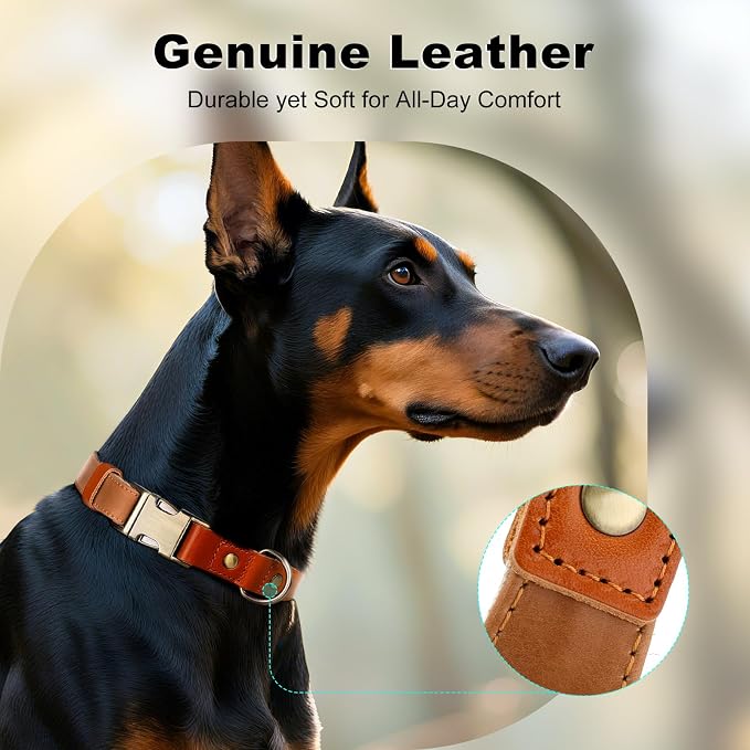 Plutus Pet Genuine Leather & Hemp Dog Collar – Adjustable Heavy Duty Pet Collar - Image 3