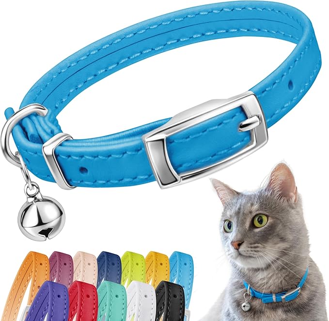 CollarDirect Leather Cat Collar, Kitten Collar by CollarDirect