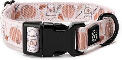 Lucy & Co. Awesomely Autumn Dog Collar by LucyCo