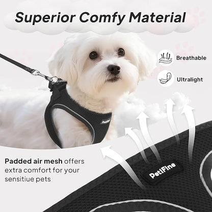 PetiFine Step in Small Dog Harness and Leash Set, Breathable All Weather Air - Image 2