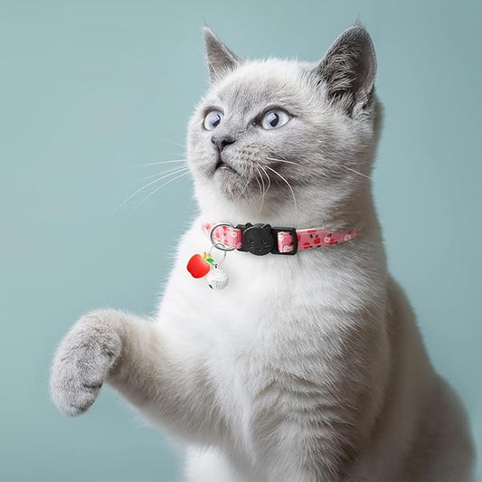 7 Pack Breakaway Cat Collars - Image 2