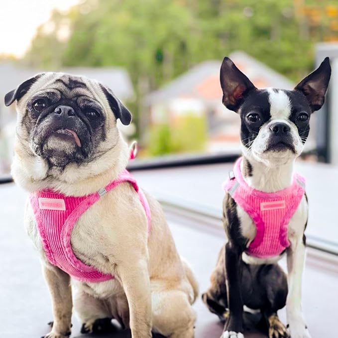 Best Pet Supplies - Image 7