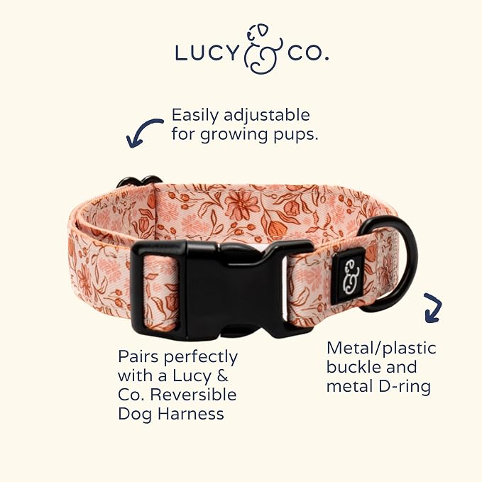 Lucy & Co. Dog Collar - Image 3