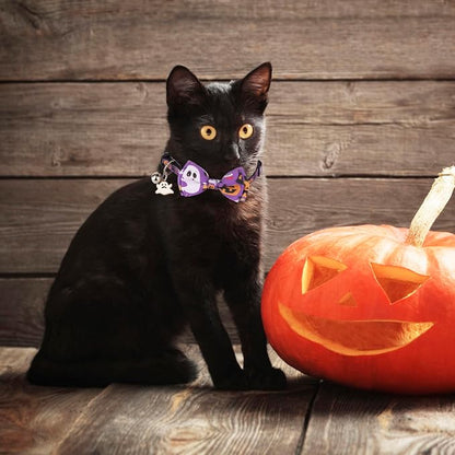 ADOGGYGO Halloween Cat Collars - Image 3
