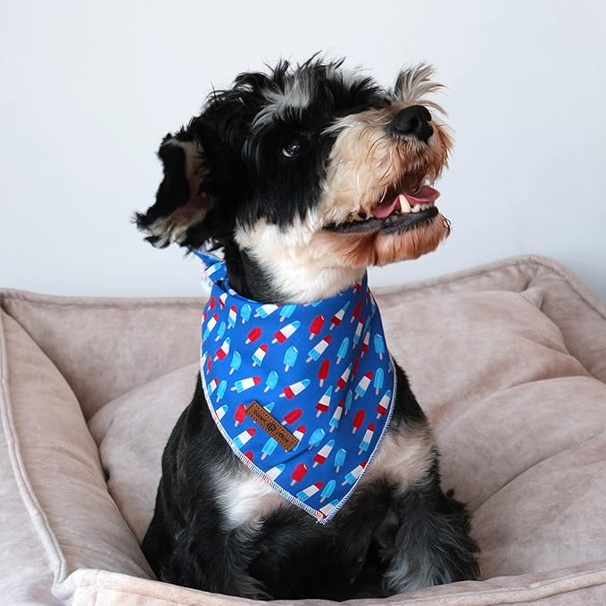 lionet paws Patriotic 4th of July Dog Bandana Summer Popsicle - Image 2