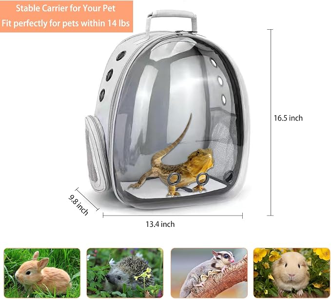 Bearded Dragon Carrier with Harness and Leash Set Large Small Animal Carrier - Image 2