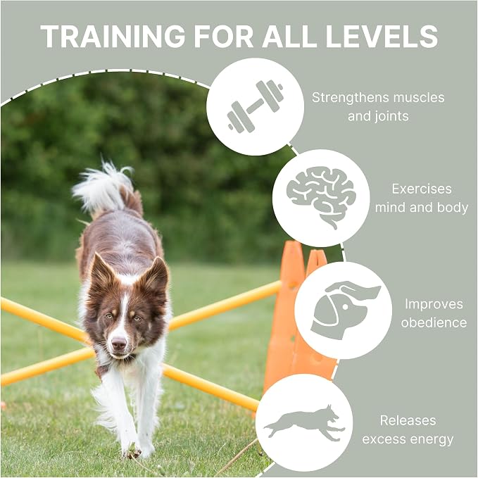 TRIXIE Dog Agility Hurdle Cone Set – Dog Agility Set - Image 4