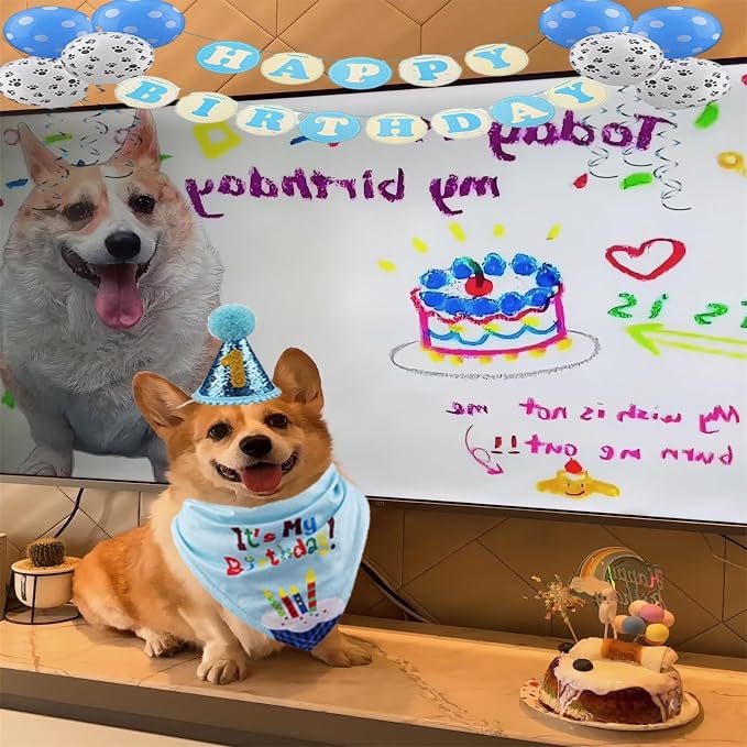 Pet Birthday Party Set, Dogs Bandana and Dog Birthday Hat - Image 5