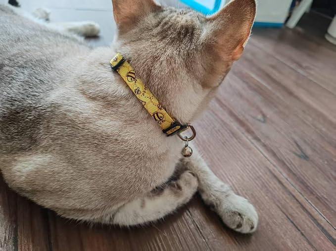 Cat Collar, 2 Pack Breakaway Collar - Image 6