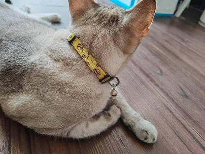 Cat Collar, 2 Pack Breakaway Collar - Image 6