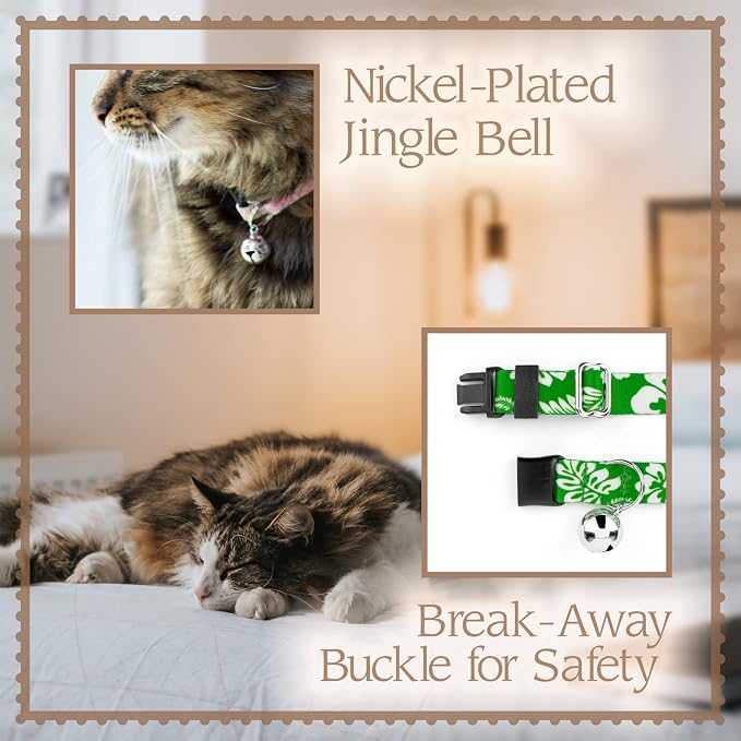 Country Brook Petz - Image 4