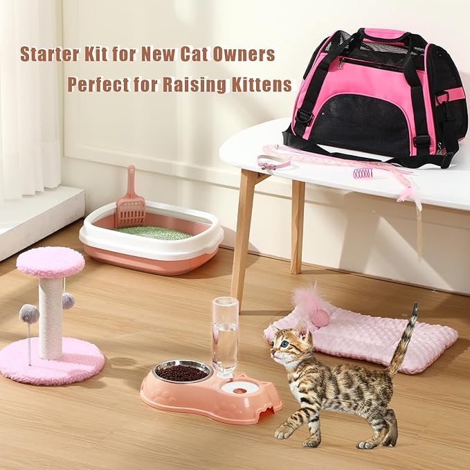Eccliy Kitten Starter Kit, Pet Toy, Folding Carrier, Climbing Frame, Automatic - Image 2