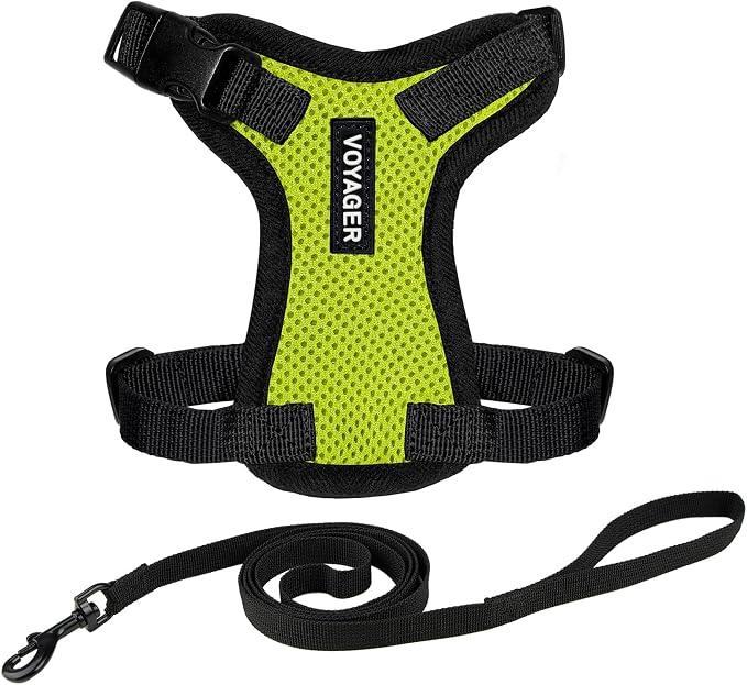 Voyager Escape-Proof Step-in Lock Cat Harness & 5ft Neoprene-Handle Leash Set by BestPetSuppliesLLC