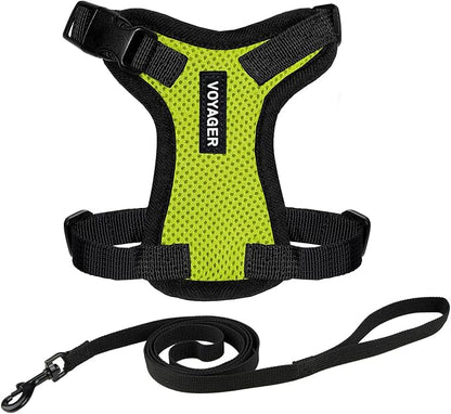 Voyager Escape-Proof Step-in Lock Cat Harness & 5ft Neoprene-Handle Leash Set by BestPetSuppliesLLC
