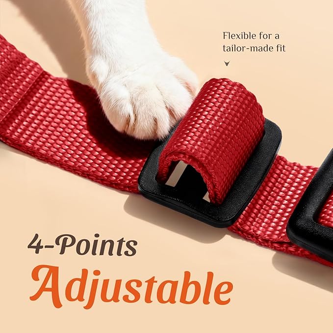 Dooradar Cat Harness and Leash Set, Escape Proof Safe Adjustable Kitten Vest - Image 3