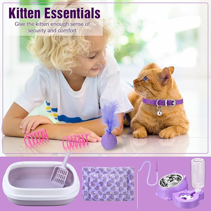 Eccliy Kitten Starter Kit, Pet Toy, Folding Carrier, Climbing Frame, Automatic - Image 4