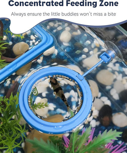 Pawfly 2 Pcs Fish Feeding Ring for Aquarium – Round and Square Floating Food - Image 6