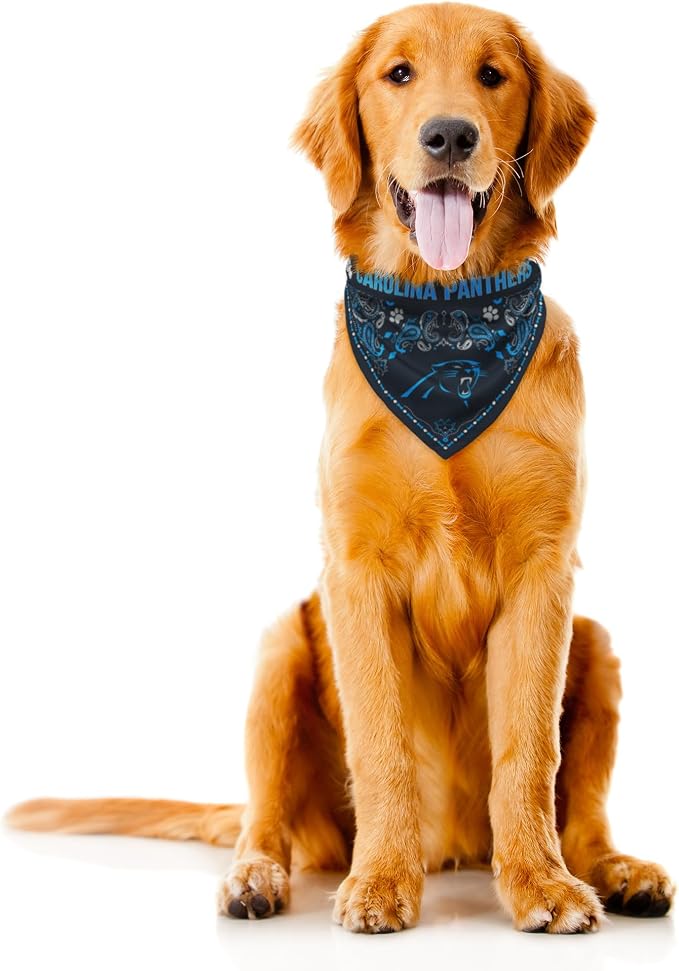 Littlearth NFL Denver Broncos Pet Bandana - Image 3