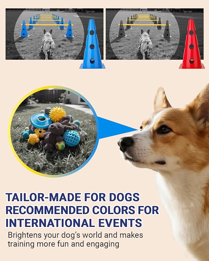 Dog Agility Course Backyard Set, Dog Agility Hurdle Cone Set - Image 4