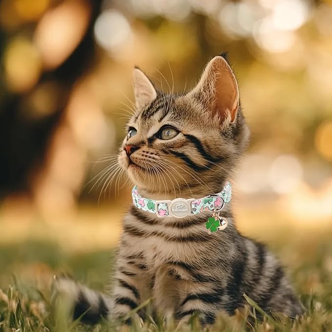 2 Pack St. Patrick’s Day Cat Collars - Image 5