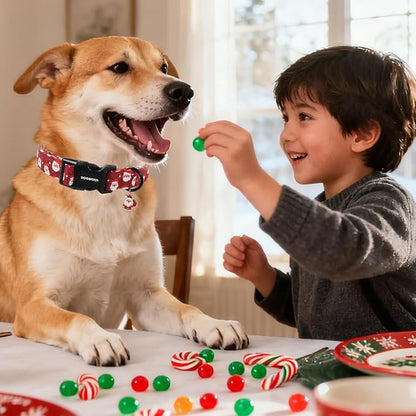 DOGWONG Christmas Dog Collar - Image 5