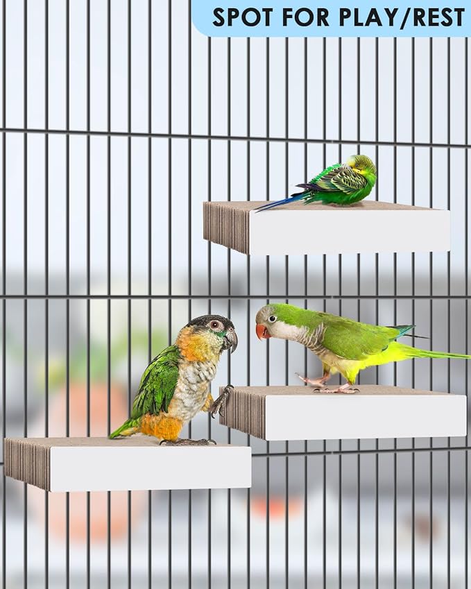 KATUMO Bird Toys, 7.8 Inch Paper Parakeet Shredding Chewing Toys Parrot Perch - Image 4