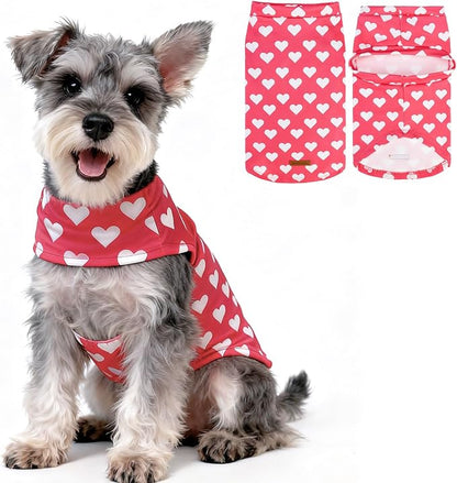 EXPAWLORER Cat Valentines Outfit Sweater by EXPAWLORER