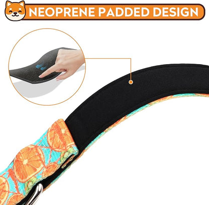 Reflective Dog Collar, Adjustable Soft Neoprene Padded Nylon Pet Collars - Image 4