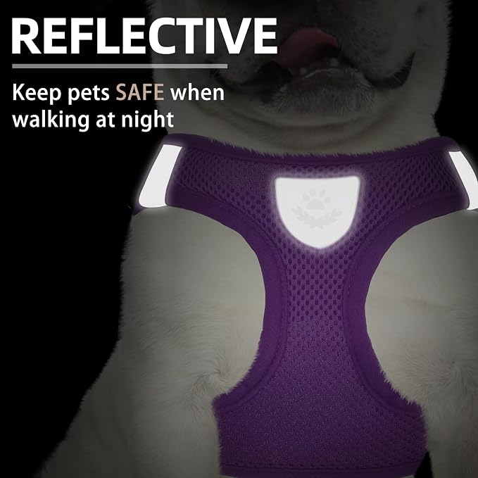 PUPTECK Adjustable Dog Harness Collar and Leash Set Step in No Pull Pet Harness - Image 5