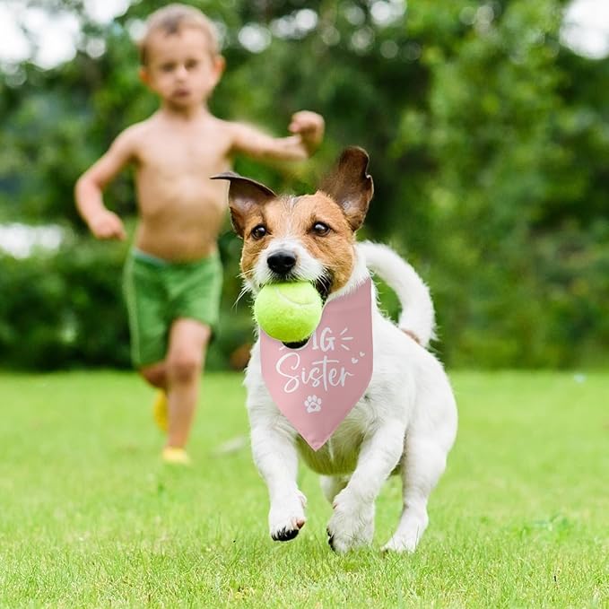 Big Sister Dog Bandana Pregnancy Announcement Gender Reveal Baby Announcement - Image 5