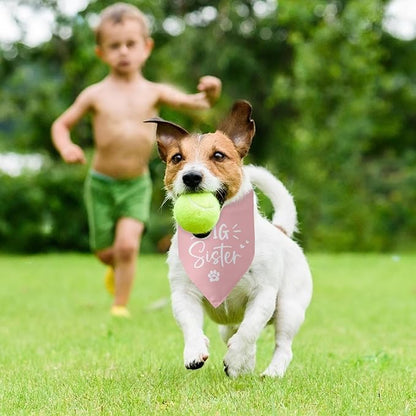 Big Sister Dog Bandana Pregnancy Announcement Gender Reveal Baby Announcement - Image 5