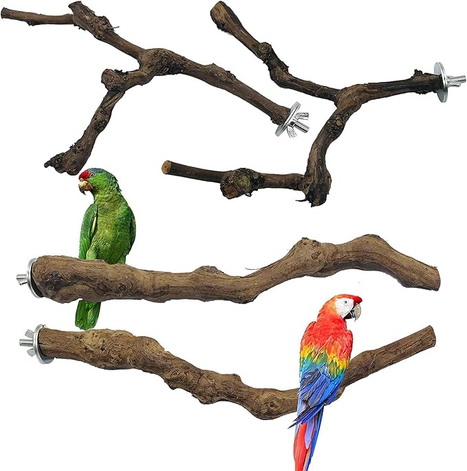 Allazone 4-Piece Bird Perch by Allazone
