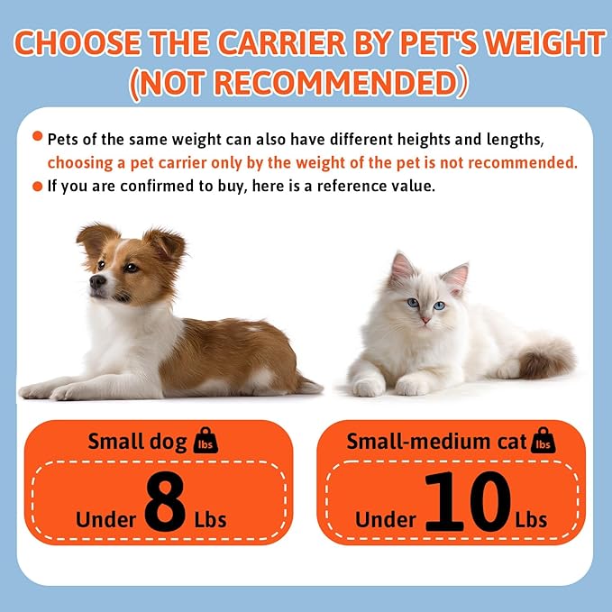 Petskd Top and Side Expandable Pet Carrier 17x12x8.5 Inches JetBlue Frontier - Image 4