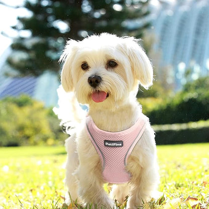 PetiFine Step in Small Dog Harness and Leash Set, Breathable All Weather Air - Image 8
