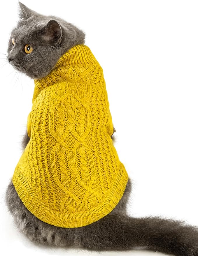 Stretchy Cat Sweater by Jnancun
