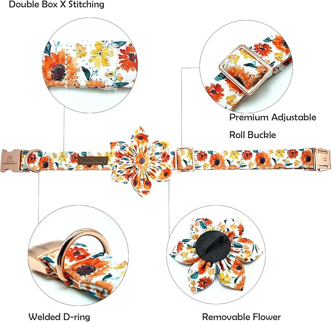 Lionheart Glory Floral Dog Collar - Image 2