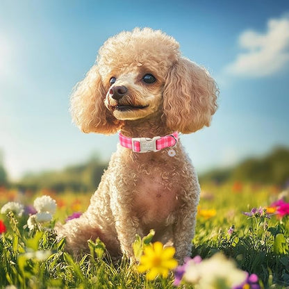 Girl Dog Collar for Medium Dogs - Image 2