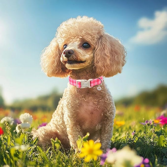 Girl Dog Collar for Medium Dogs - Image 2
