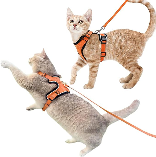 Luxelle 2 Pack Escape-Proof Cat Harness and Leash Set by Unknown